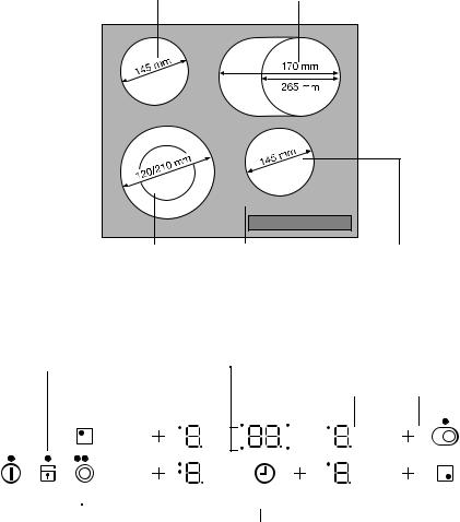 AEG EHS60160P User Manual