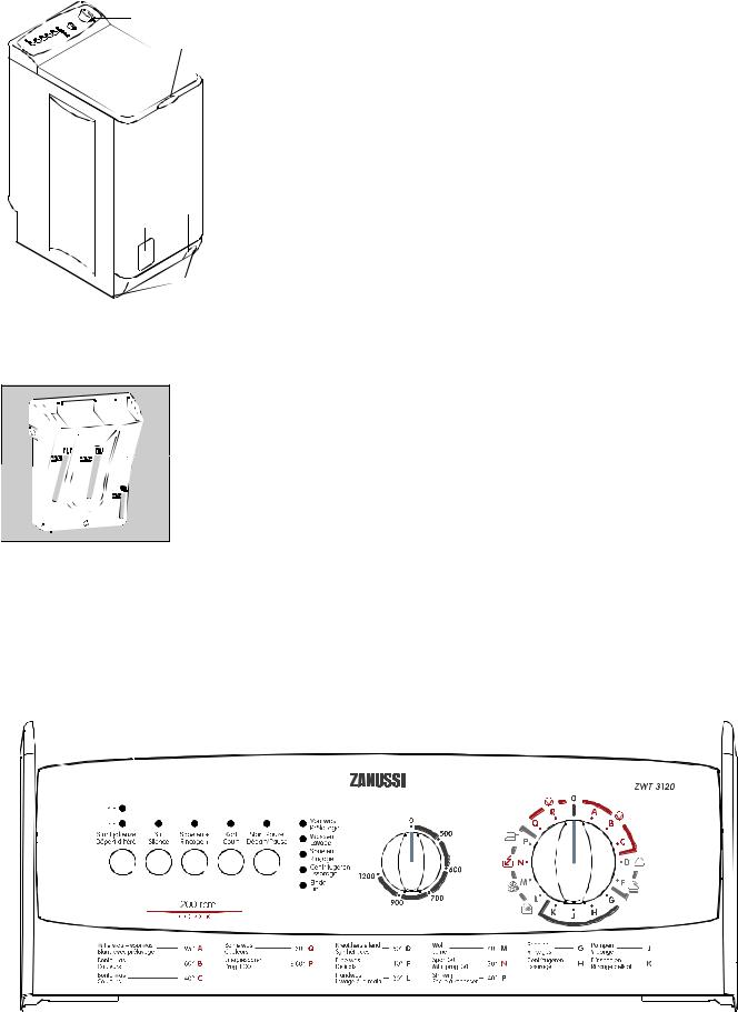 Zanussi ZWT3120 User Manual