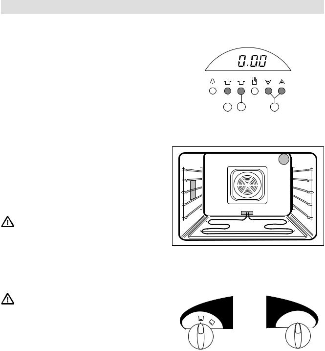 AEG EBGL30.1ZX, EBGL30ZX User Manual