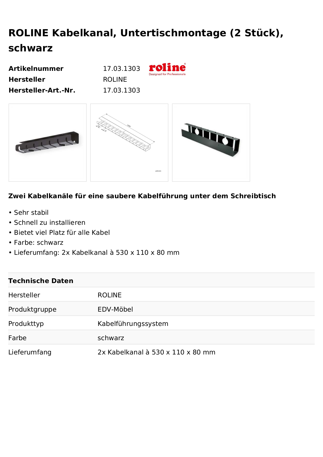 ROLINE 17031303 Datasheet - ManualMachine.com
