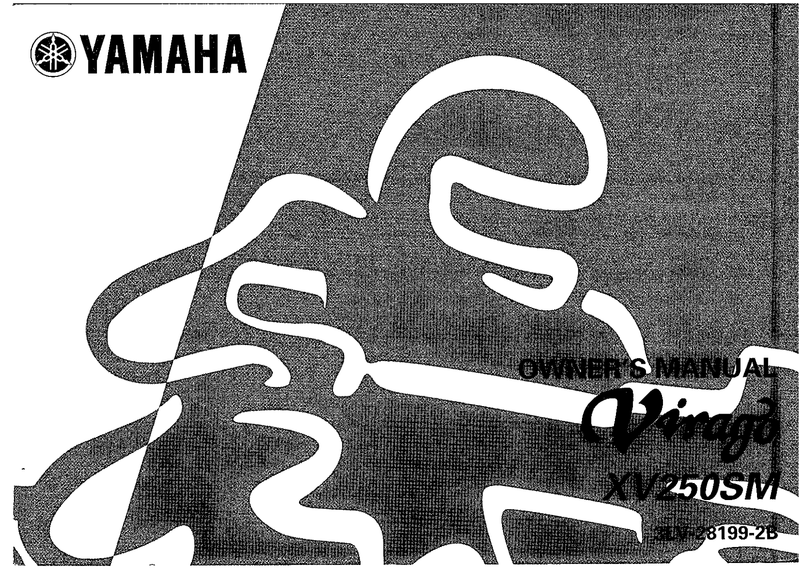 Yamaha XV250 SM 2000 Owner's manual