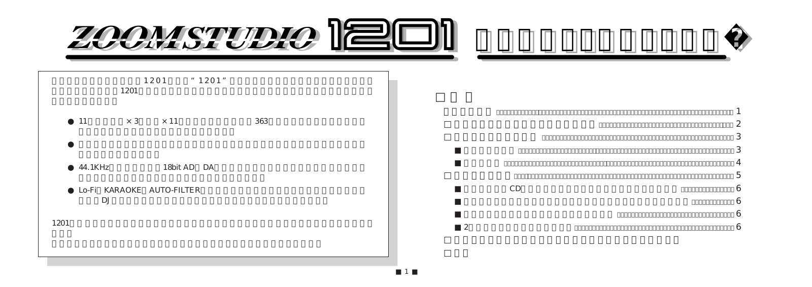 Zoom 1201 User Manual