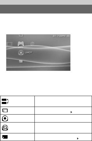 Sony PSP1001B Users Manual