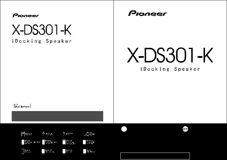 Pioneer X-DS301-L User Manual