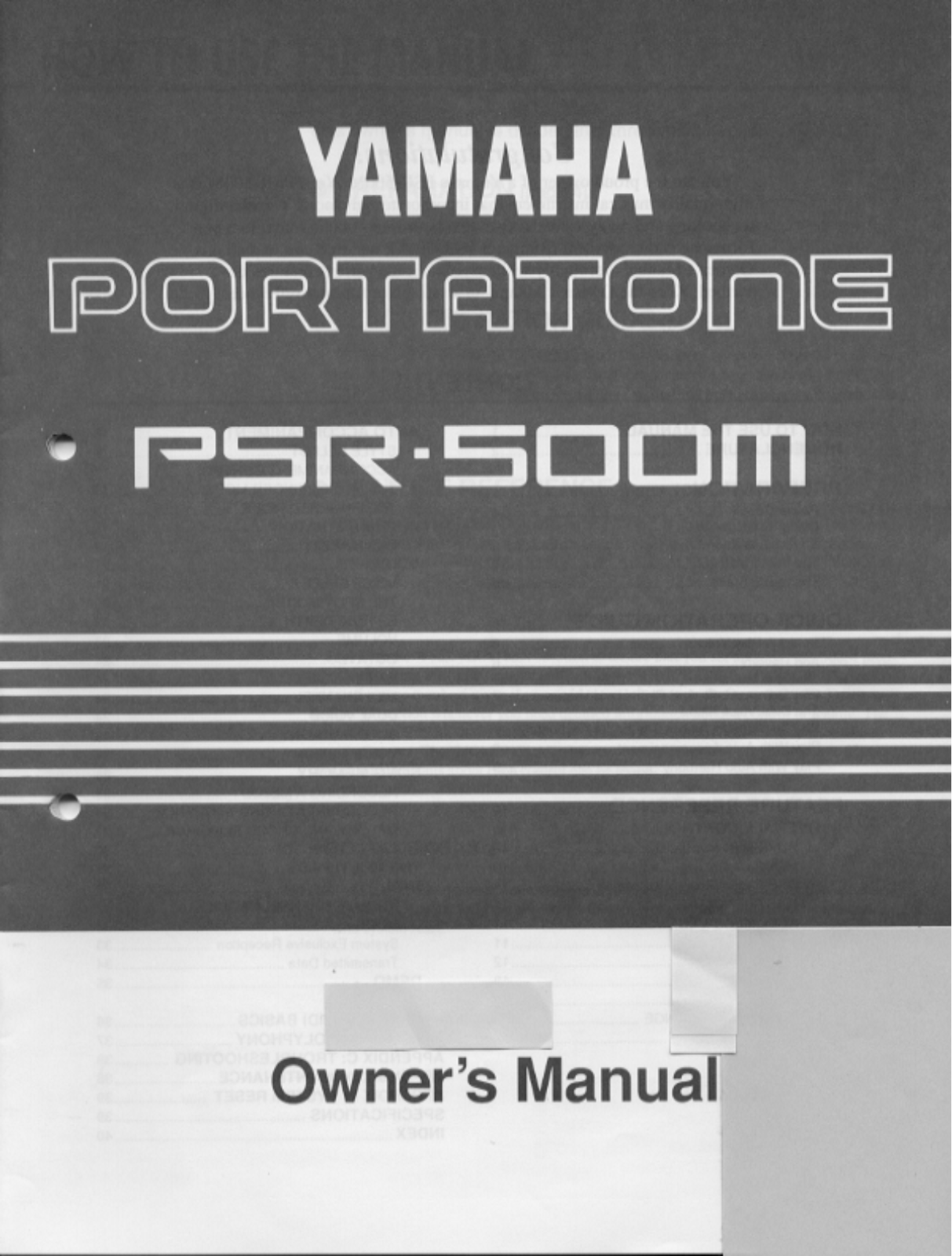 Yamaha PSR-500ME, PSR-500M User Manual