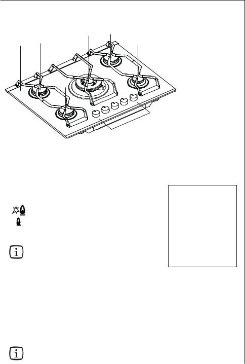 AEG 79850G-M User Manual