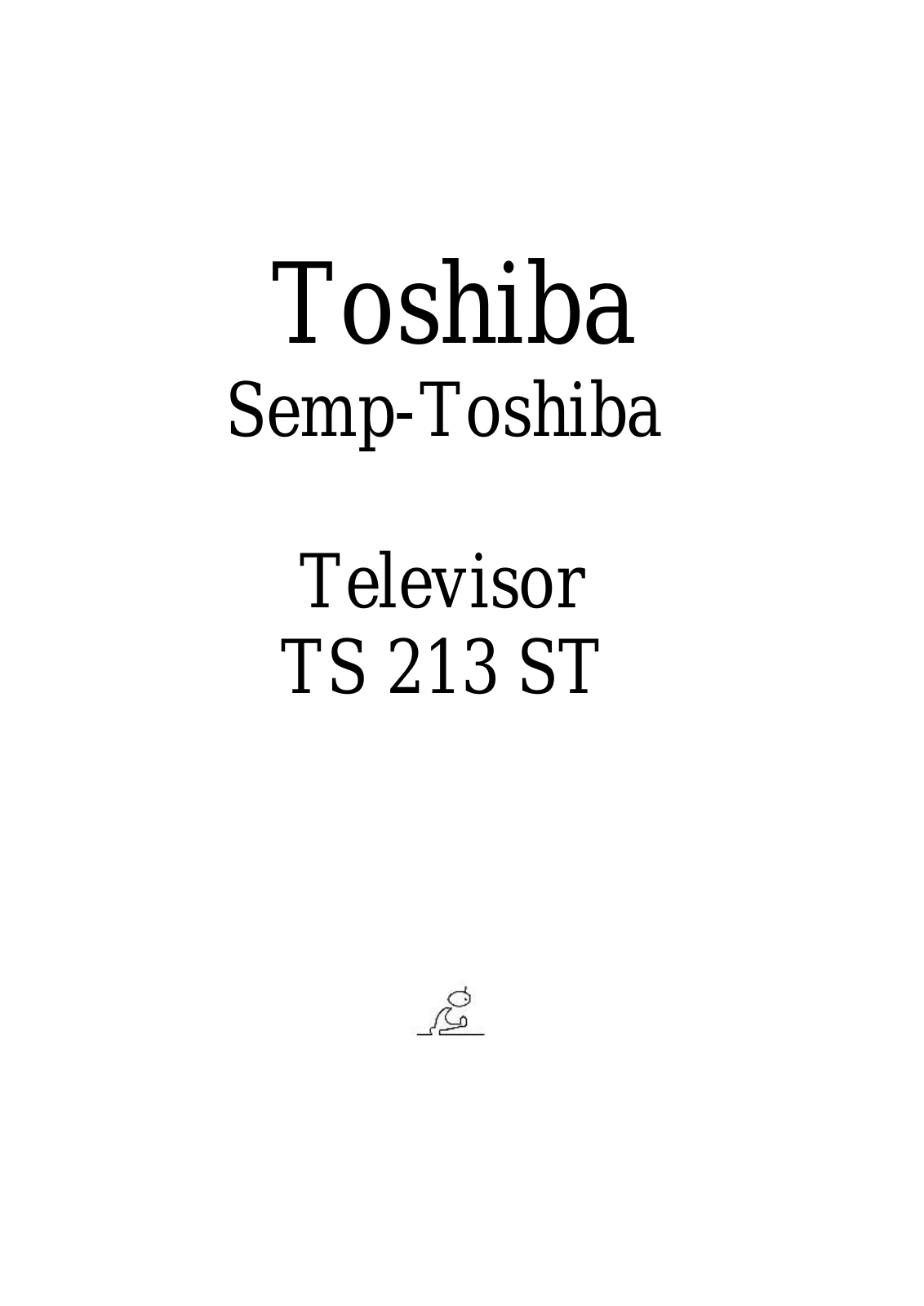 Toshiba TS-213ST Schematic