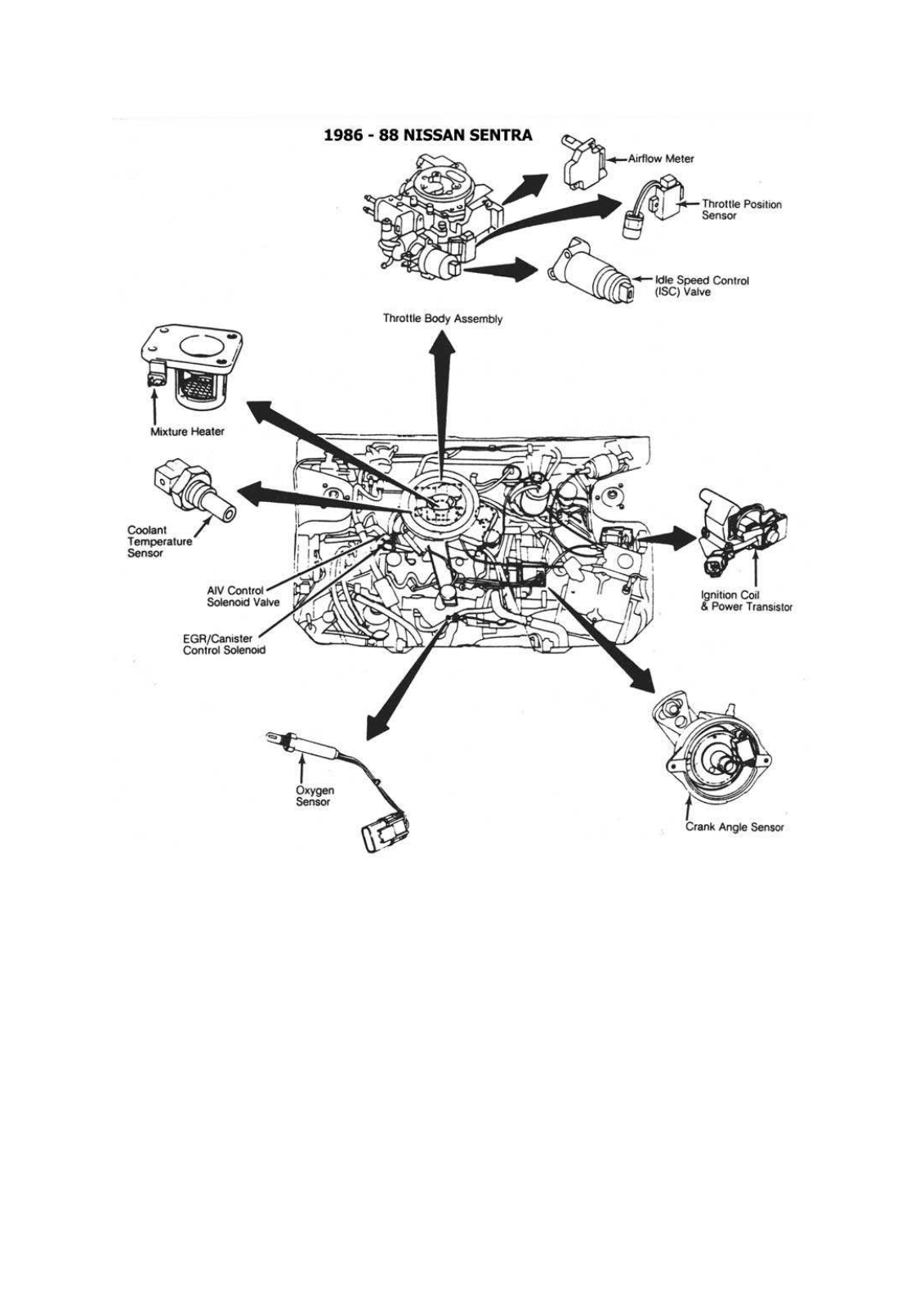 Nissan ESQNIS36 Diagram