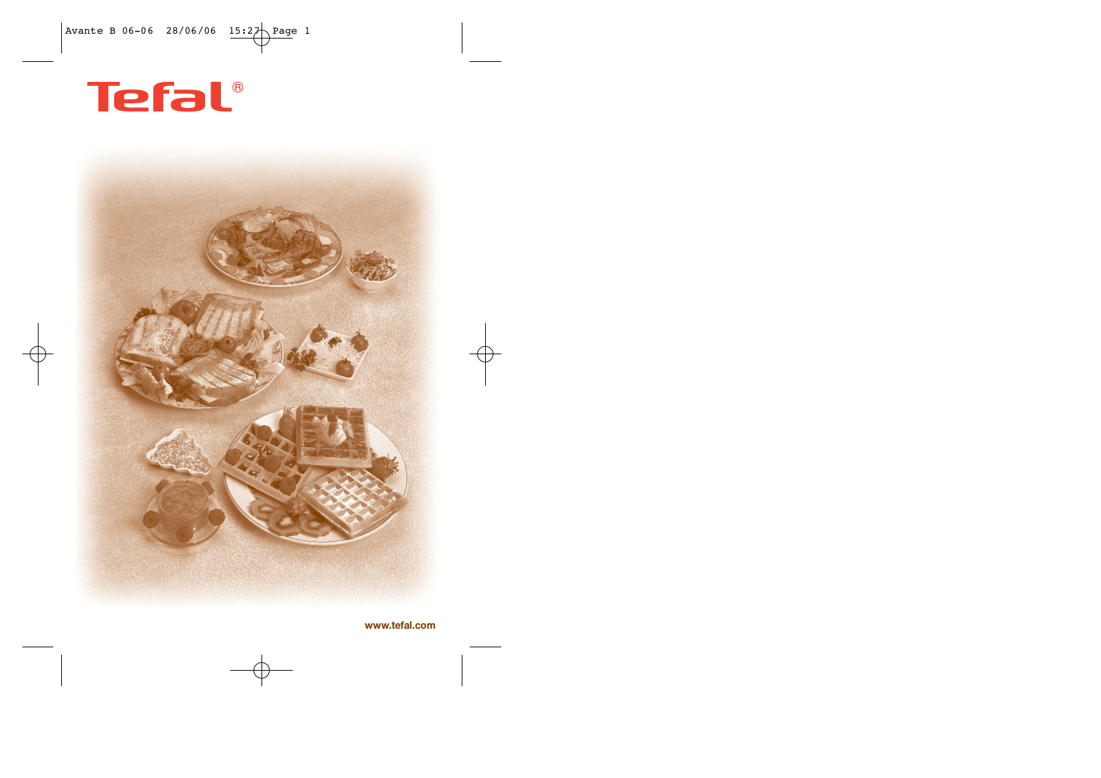 Tefal Avante SW601033 User Manual