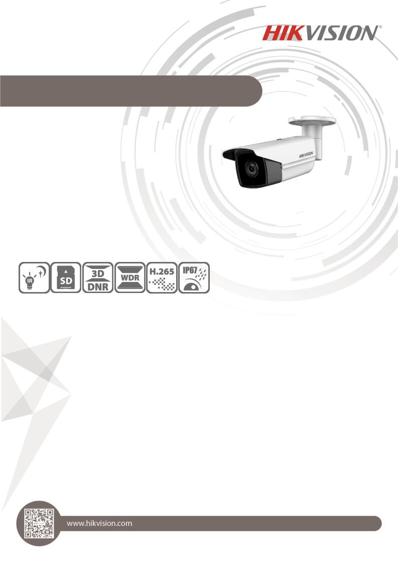 Hikvision DS-2CD2T43G0-I5 User Manual