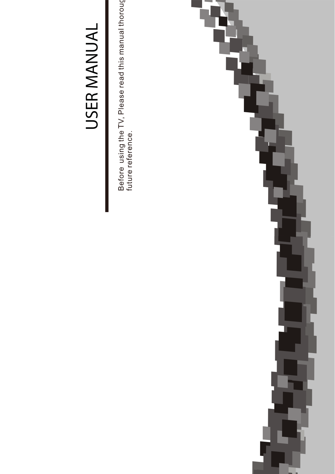 Hisense Electric LCDD0013 User Manual