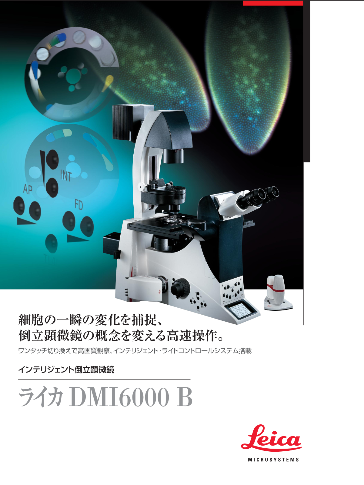 Leica DMI6000 B BROCHURE