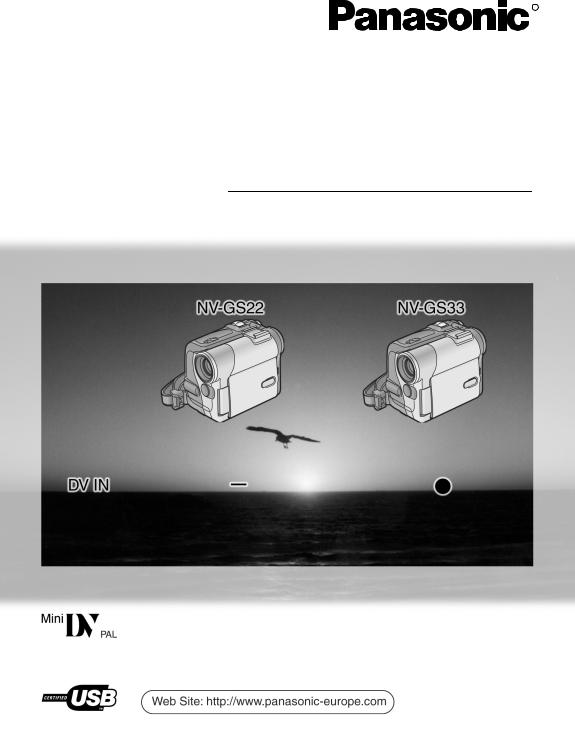 PANASONIC NV-GS22EGE, NV-GS22EGM, NV-GS33EG, NV-GS33EGE, NV-GS33EGM User Manual