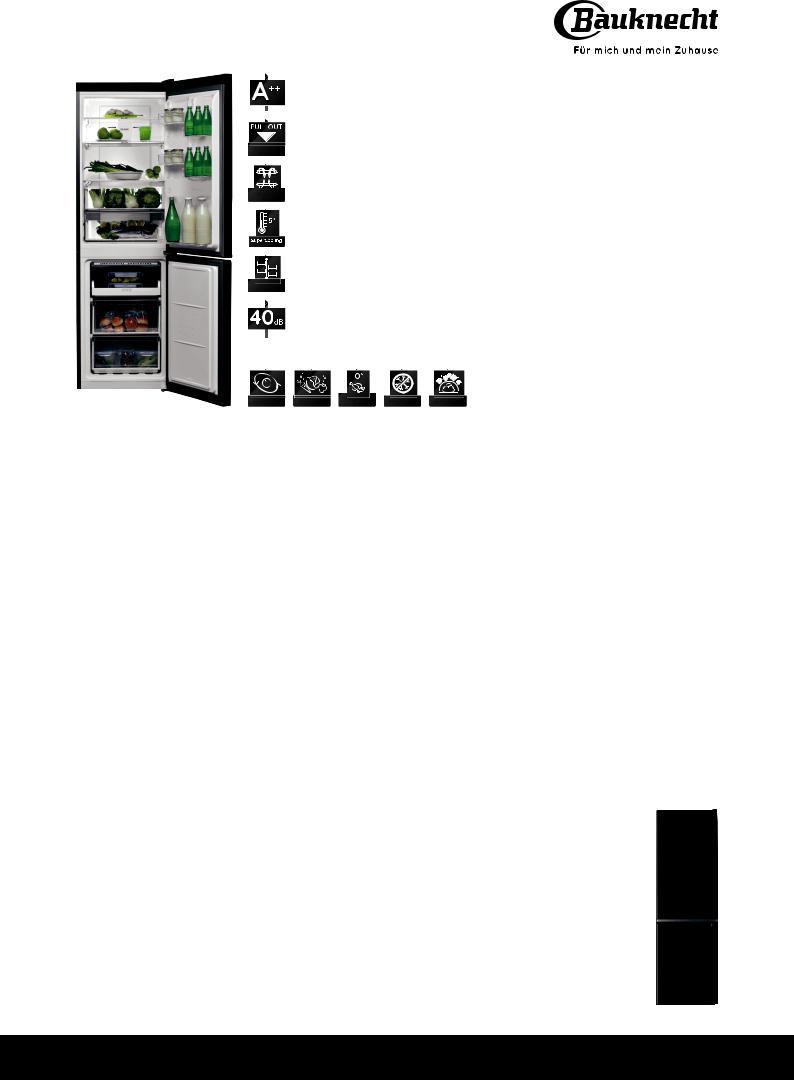 Bauknecht KGNF 182 SW User Manual