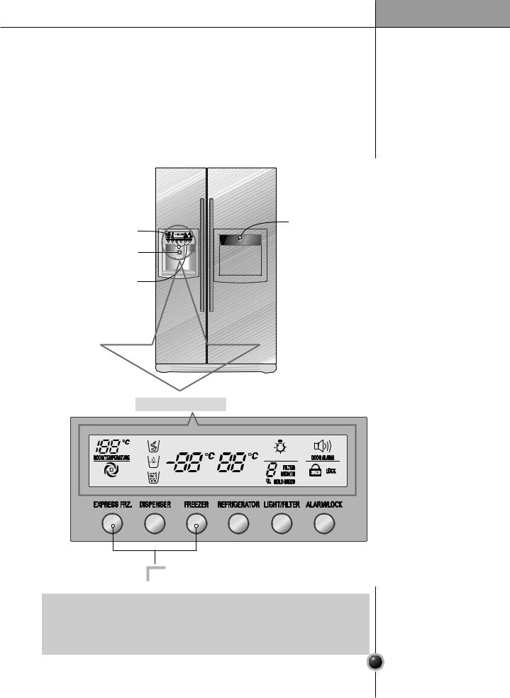 Lg GR-P307-SSB User Manual