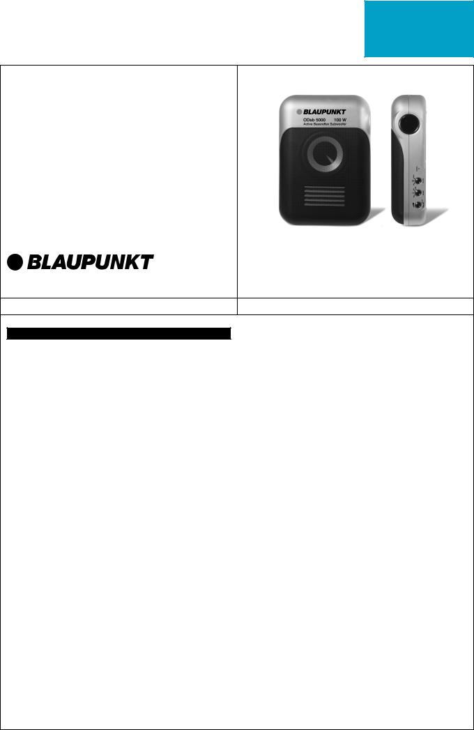 BLAUPUNKT ODSB 5000 User Manual
