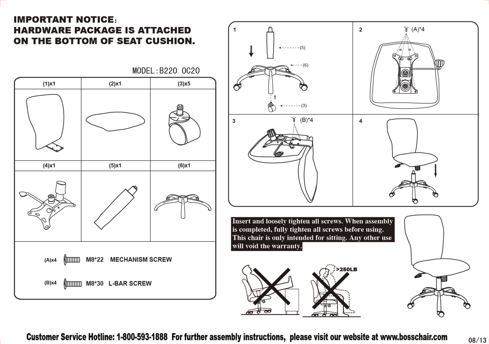 Boss B220GFWT Assembly Guide