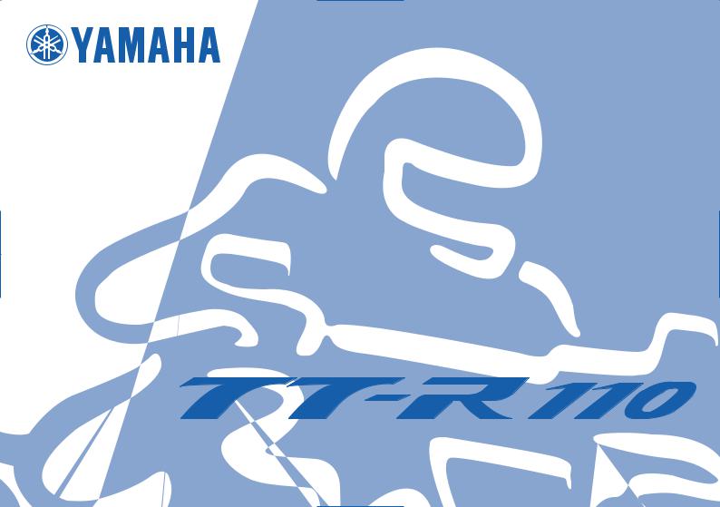 Yamaha TT-R110E, TT-R110X Manual