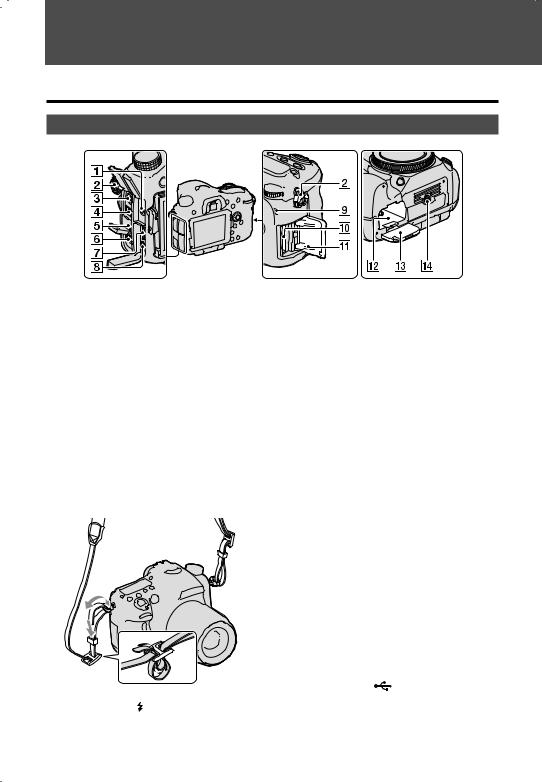 Sony SLT-A77V User Manual