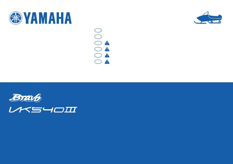 Yamaha BR250TA1, VK540EA Manual