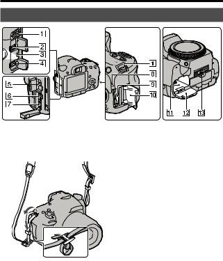 Sony SLT-A57M User Manual