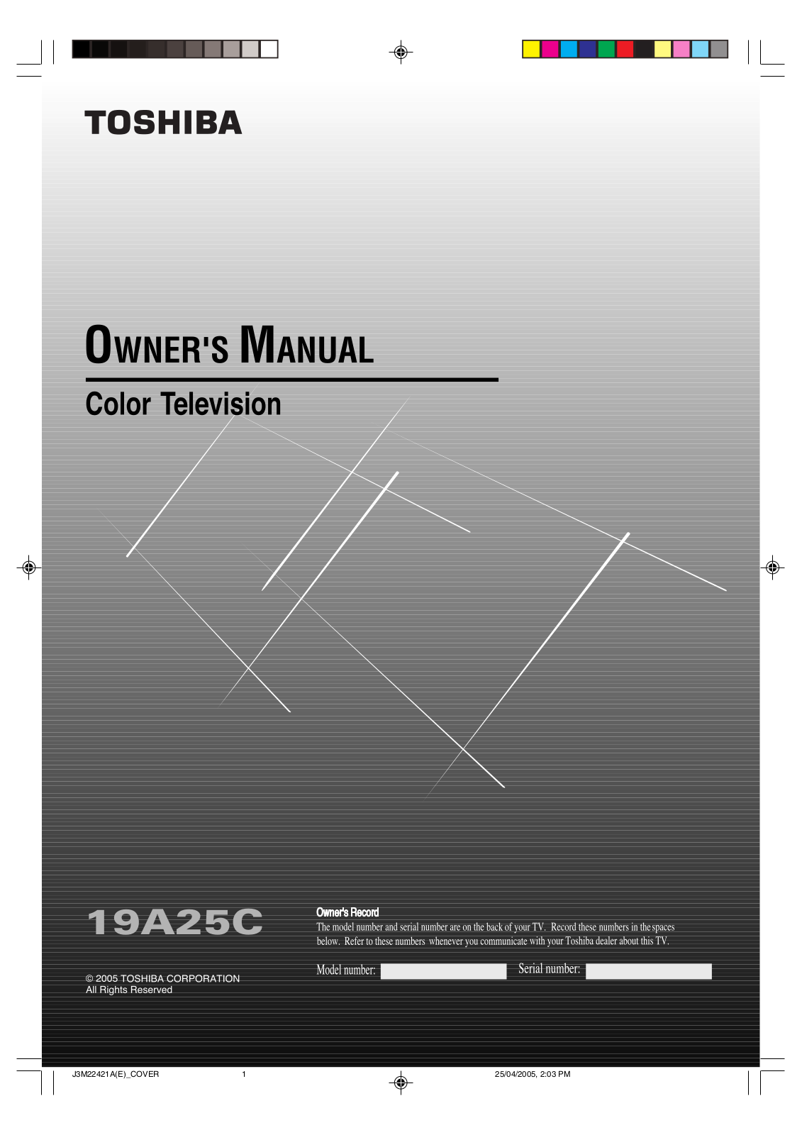 Toshiba 19A25C User Manual