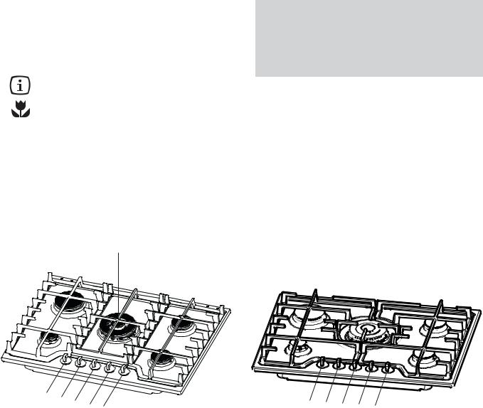 ARTHUR MARTIN TG5042, TG5022 User Manual