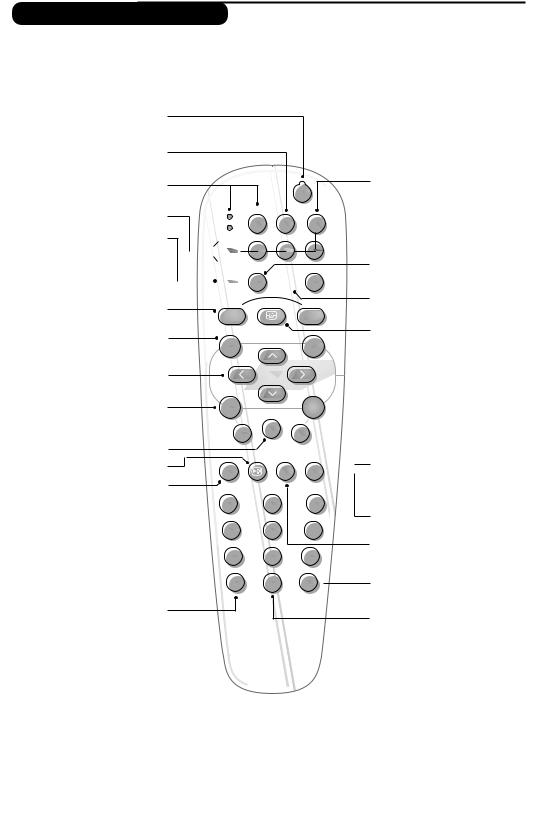 Philips 29PT9007, 29PT8607, 29PT8507 User Manual