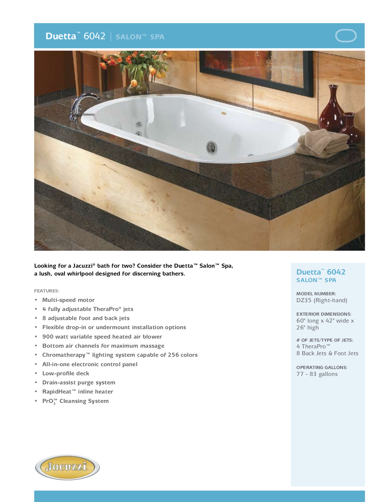 Jacuzzi DZ35 User Manual