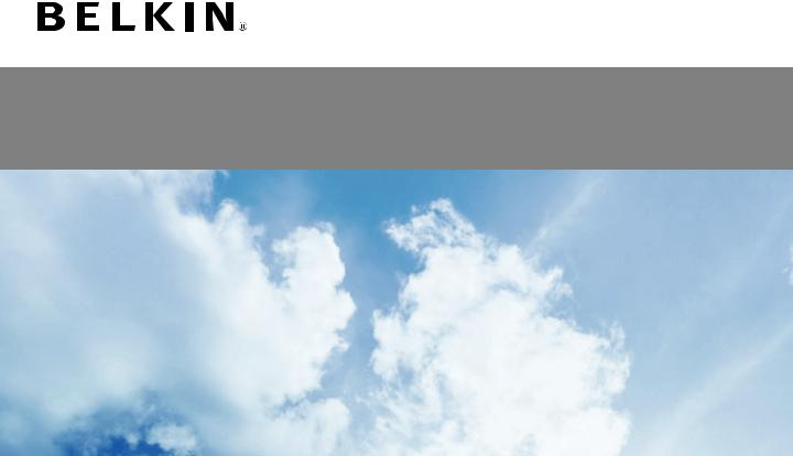 Belkin F5D4079 - 8820ea05562 User Manual
