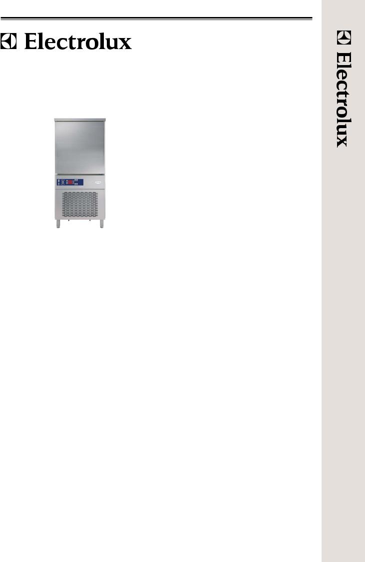 Electrolux RBF101 User Manual
