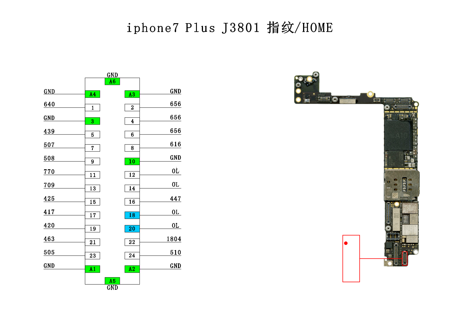 Apple iPhone 7 Plus Schematics Fingerprint HOME FPC connector