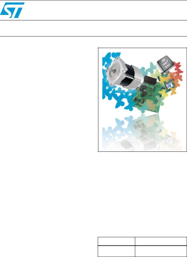 ST STM3210B-MCKIT User Manual