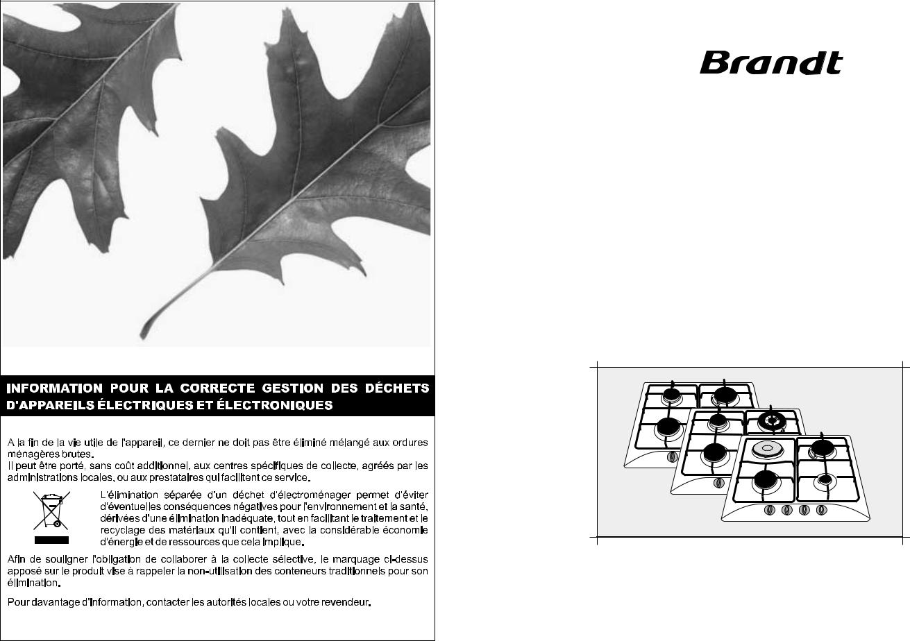 BRANDT TE613BS1 User Manual