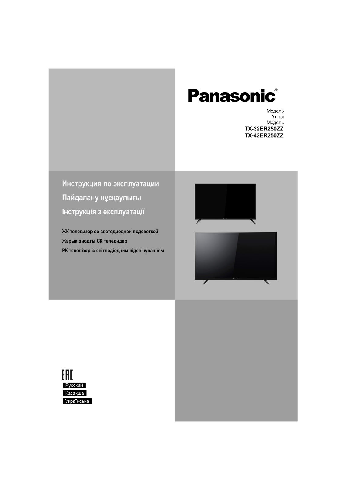 Panasonic TX-42ER250ZZ User Manual