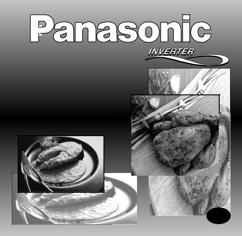 PANASONIC NNA873S User Manual