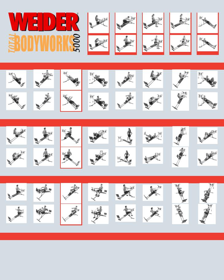 WEIDER Body Works Pro User Manual