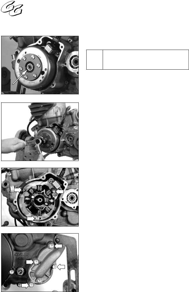 Gas gas EC 300, EC 250, EC 200 Manual