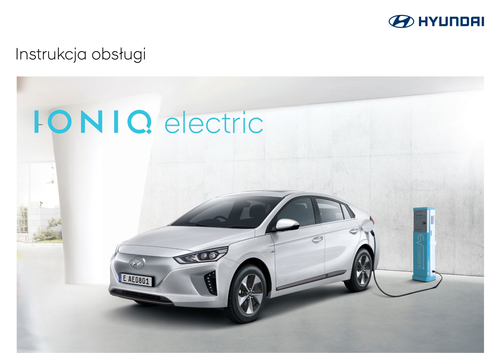 Hyundai Ioniq Electric 2017 Owner's Manual