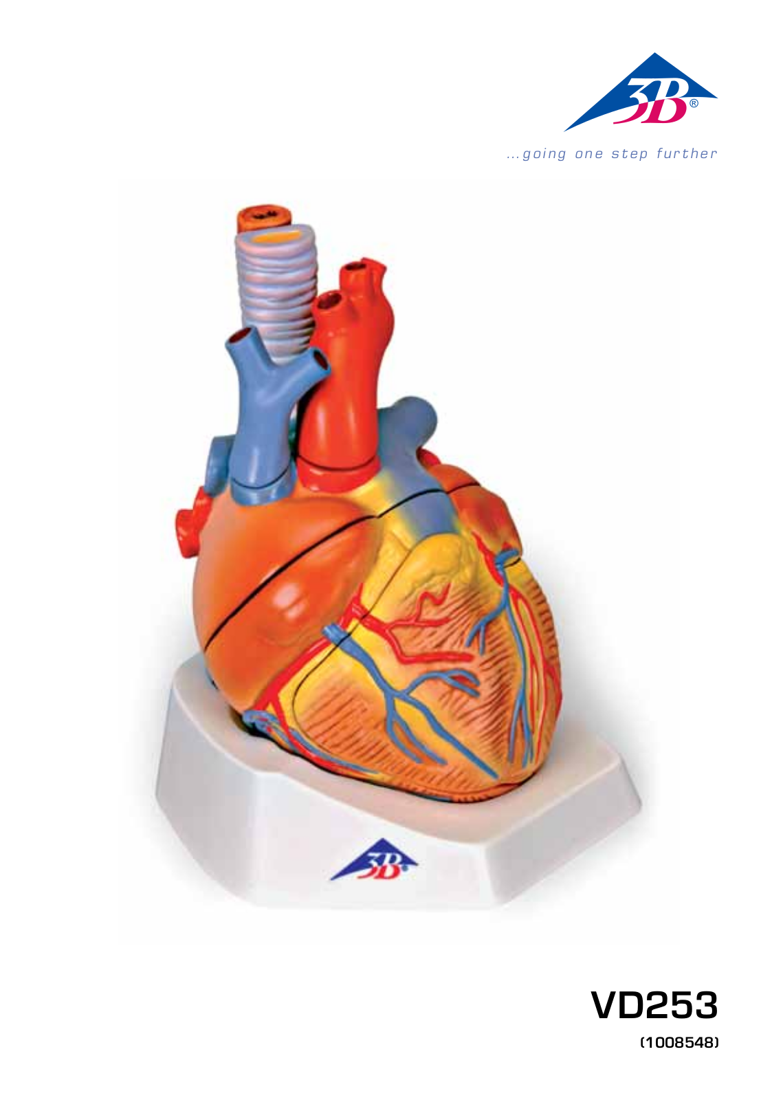 3B Scientific Heart User Manual