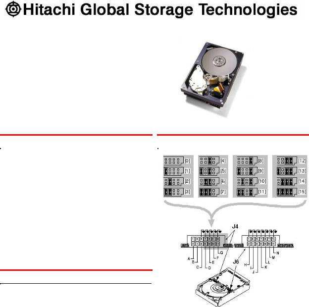 Hitachi IC35L018UWDY10, IC35L073UWDY10, IC35L018UCDY10, IC35L073UCDY10, IC35L036UWDY10 Quick Installation Guide