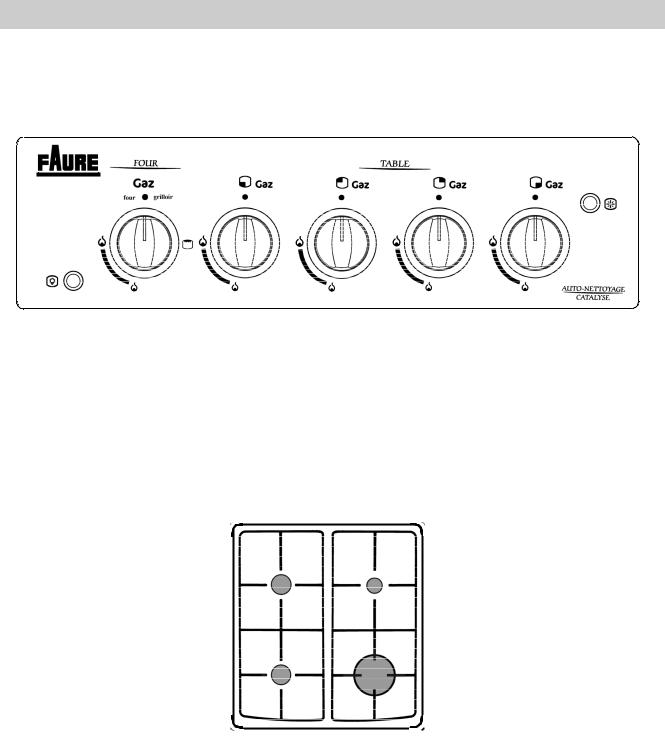 FAURE CGC416W User Manual