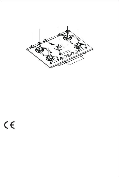 AEG 7955 G User Manual