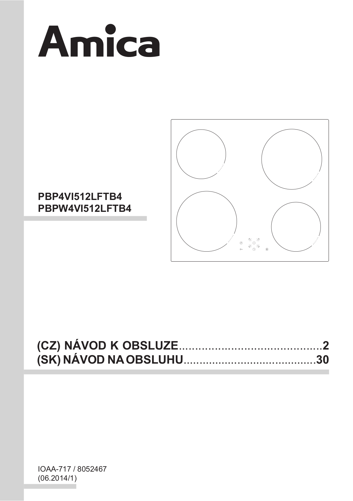 Amica DPP 6509 S, PI 6109 LW User Manual