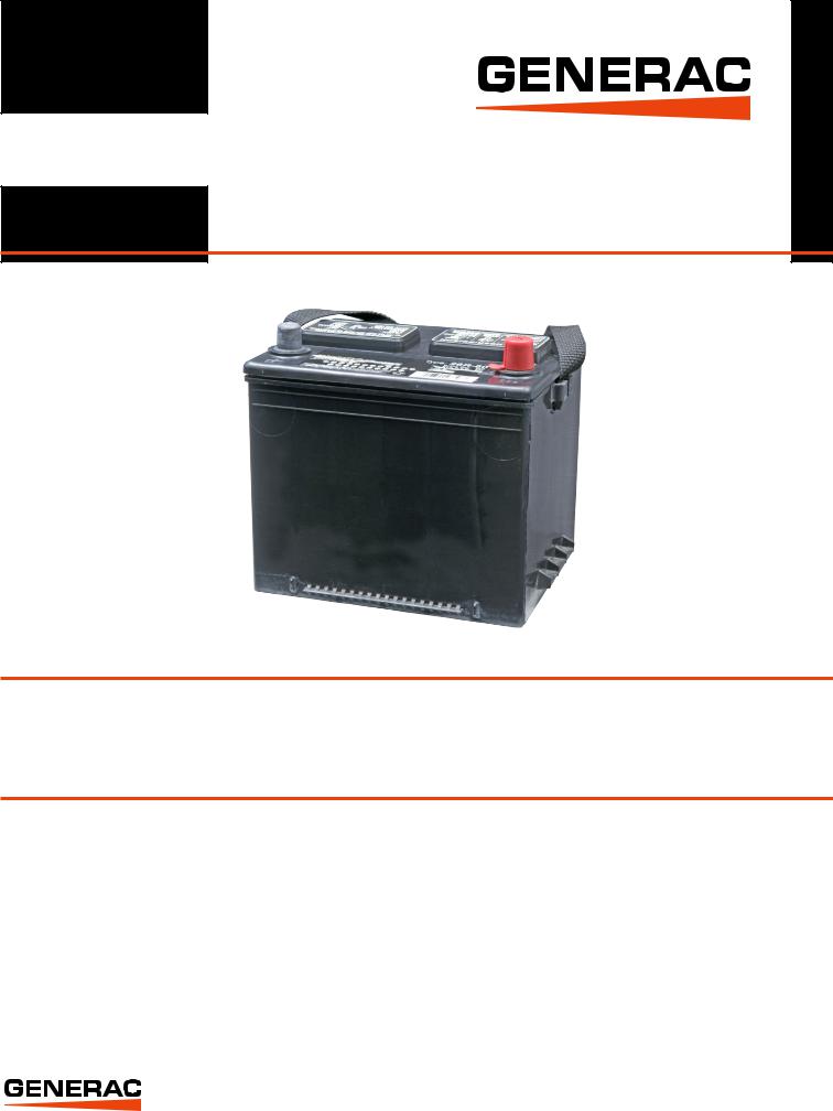 Generac G005819-0 Specifications