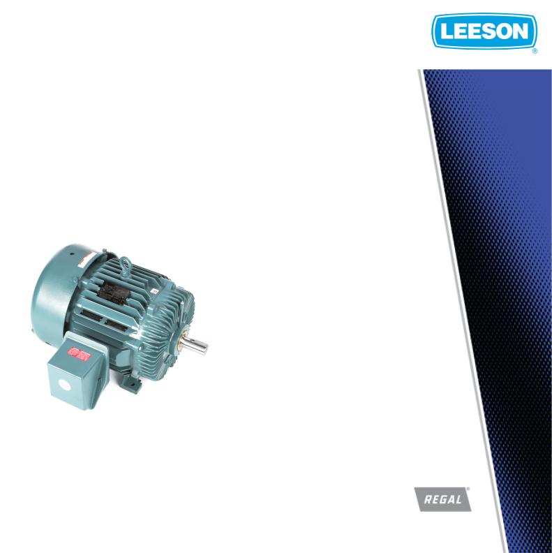 Leeson 811562.00 Product Information Packet