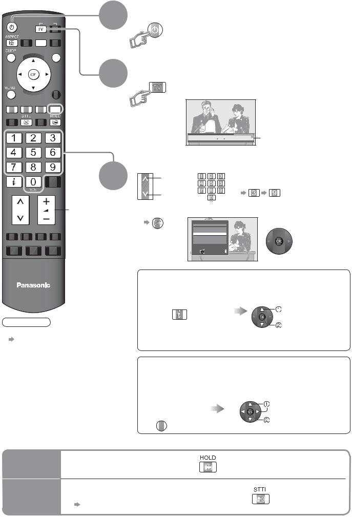 Panasonic TH-D42PT84EA User Manual