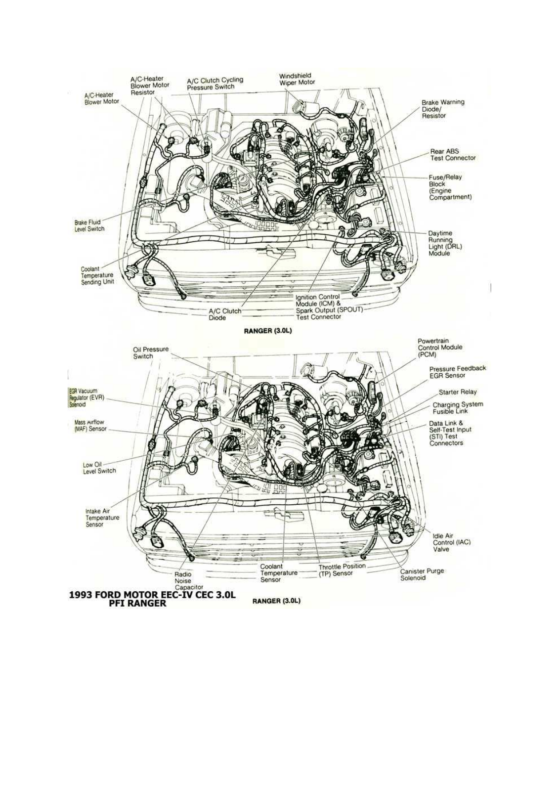 FORD Ranger 6-8 hola este Diagram