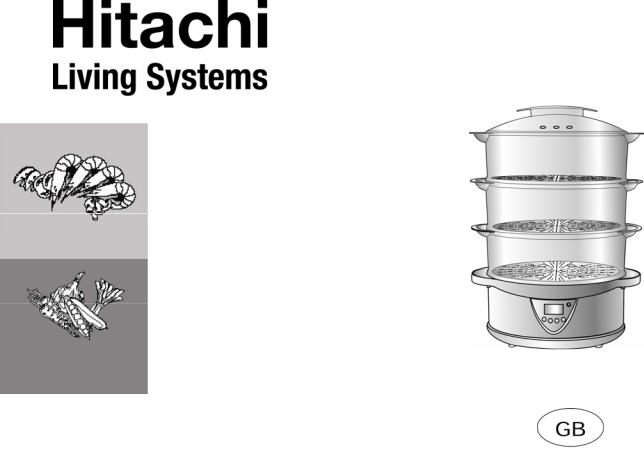 Hitachi HSTM300SS User Manual