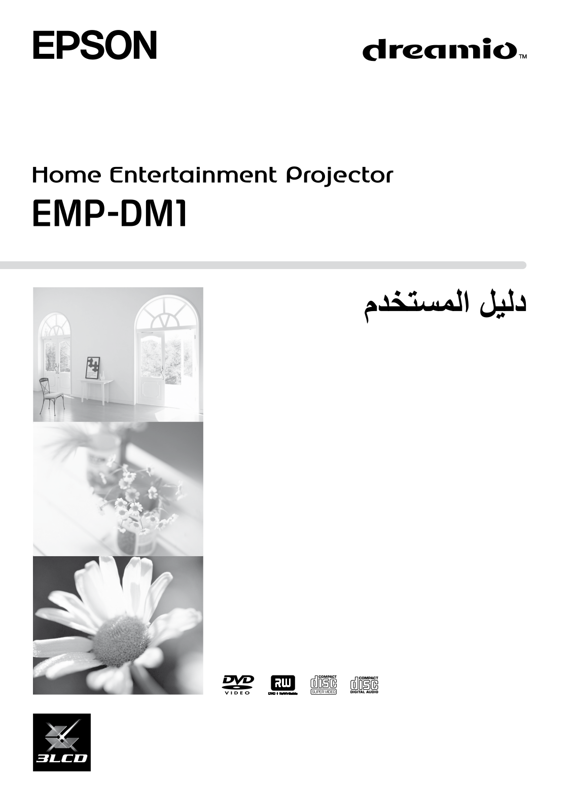 Epson EMP-DM1 Owner's Manual